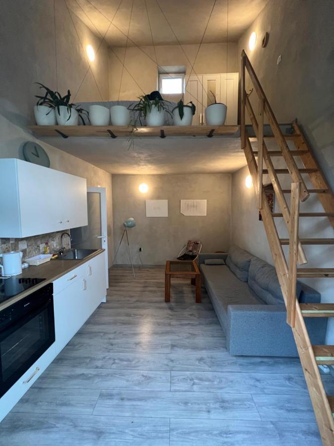 Tiny-house Apartment Timisoara